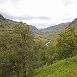 Abergwesyn Valley1 DM0383 tif