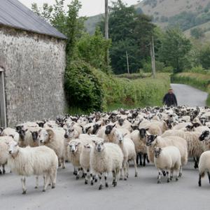 British Landscapes