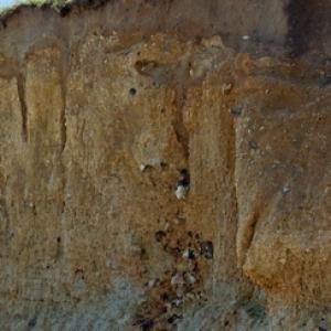  Coastal erosion  Weybourne Norfolk DM2142