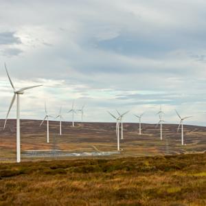  Wind Farm DM2134