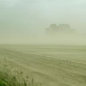 Wind erosion Beckland  Norfolk DM2164