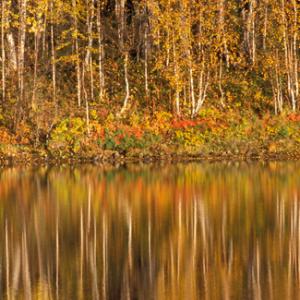 Finland Reflections DM0322